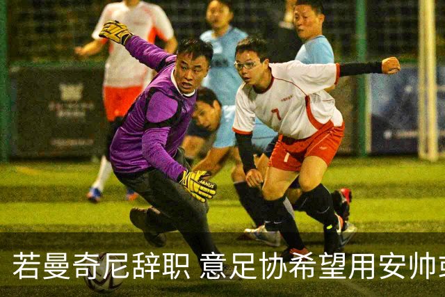 若曼奇尼辞职 意足协希望用安帅或卡纳瓦罗替代