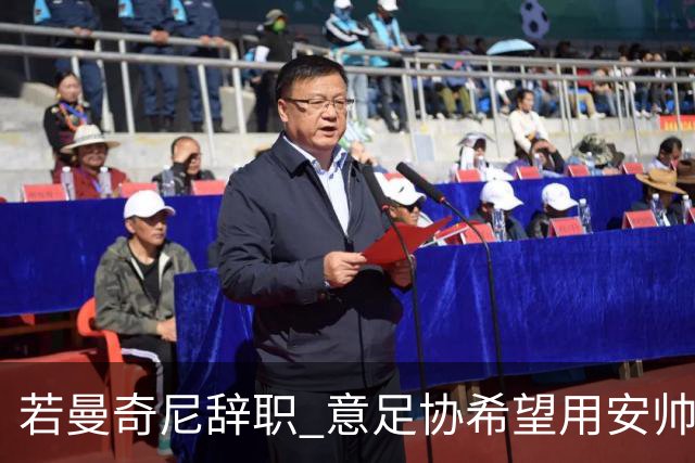 若曼奇尼辞职 意足协希望用安帅或卡纳瓦罗替代